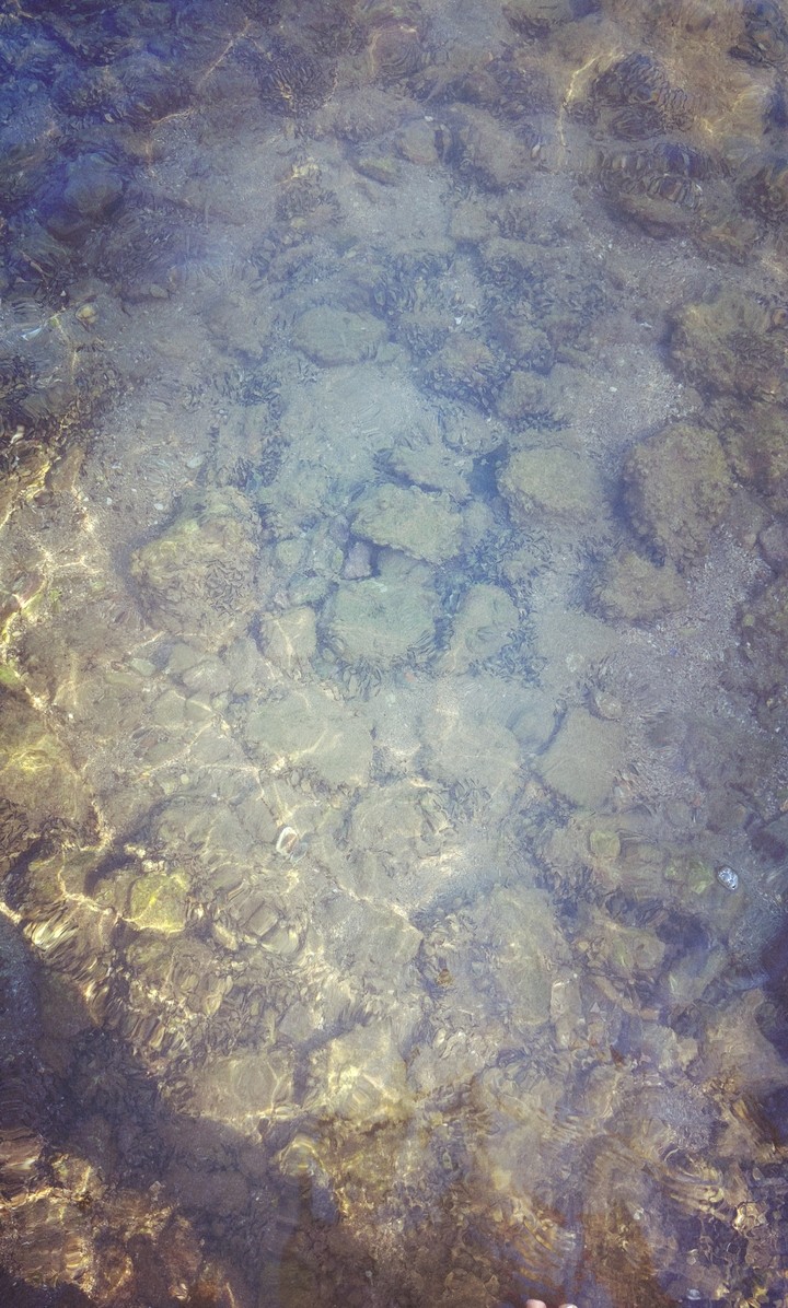 sea