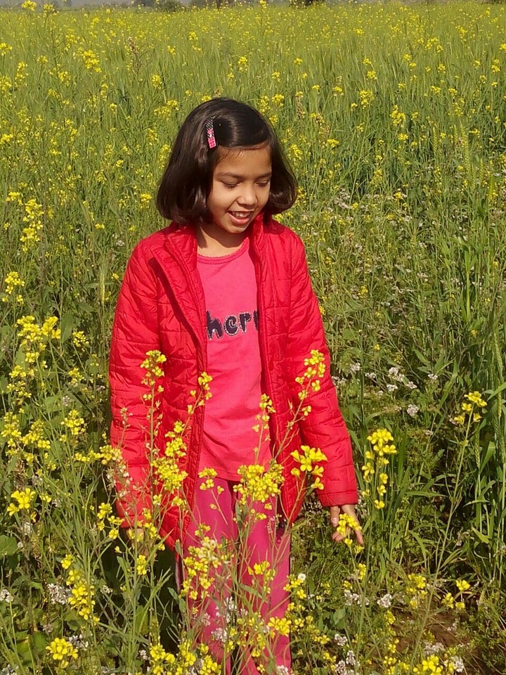beautiful garden