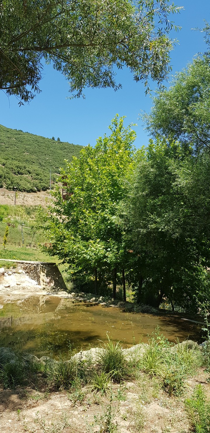 Nature