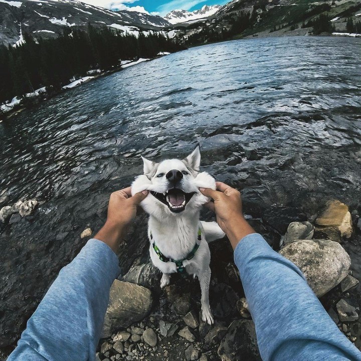 dag
