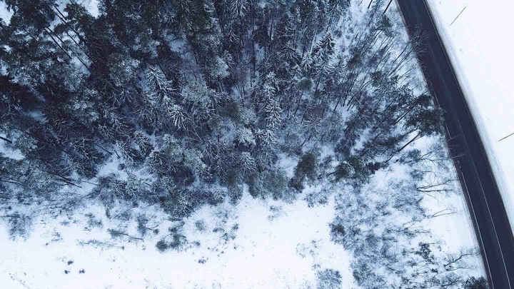 winter