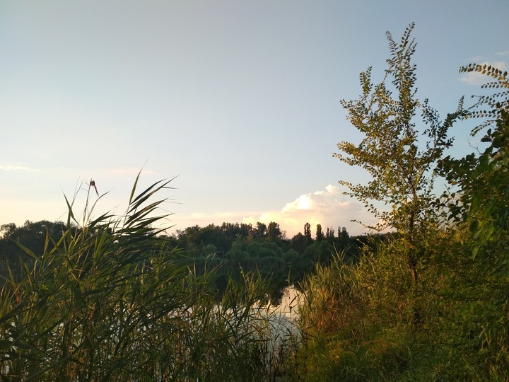 sky