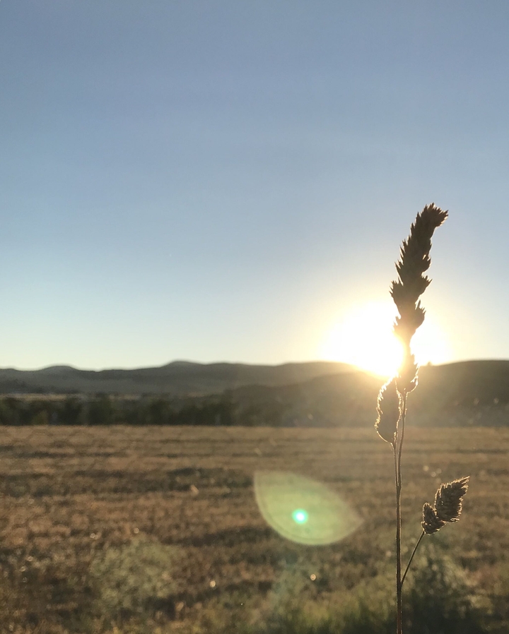 The Last Sunset
