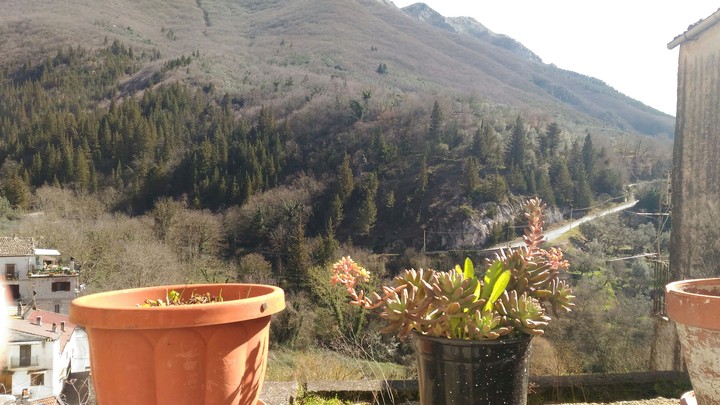 Italy in love