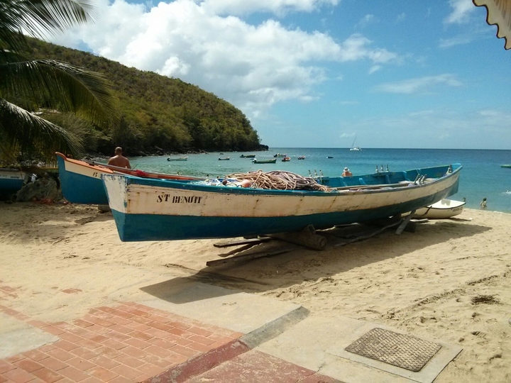 paradis