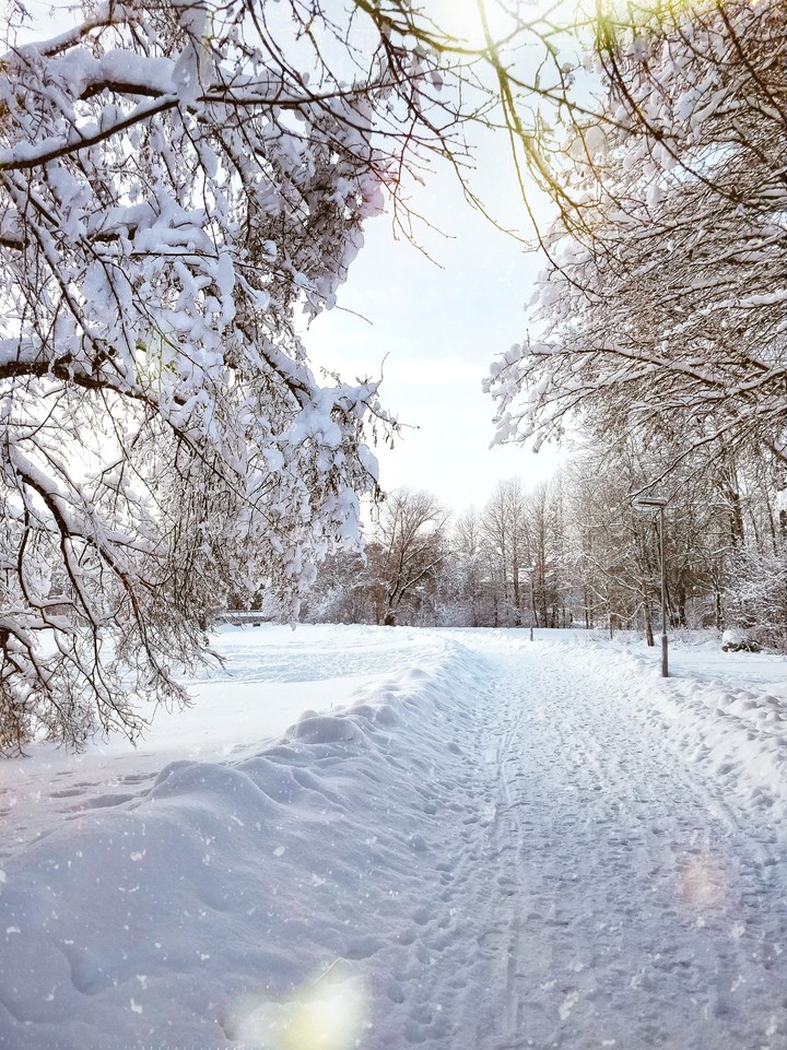 winter