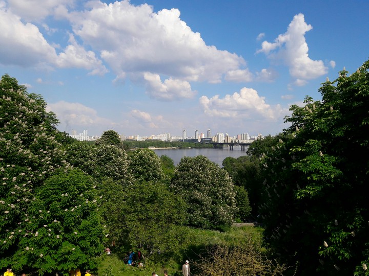 summer, citi, tree))