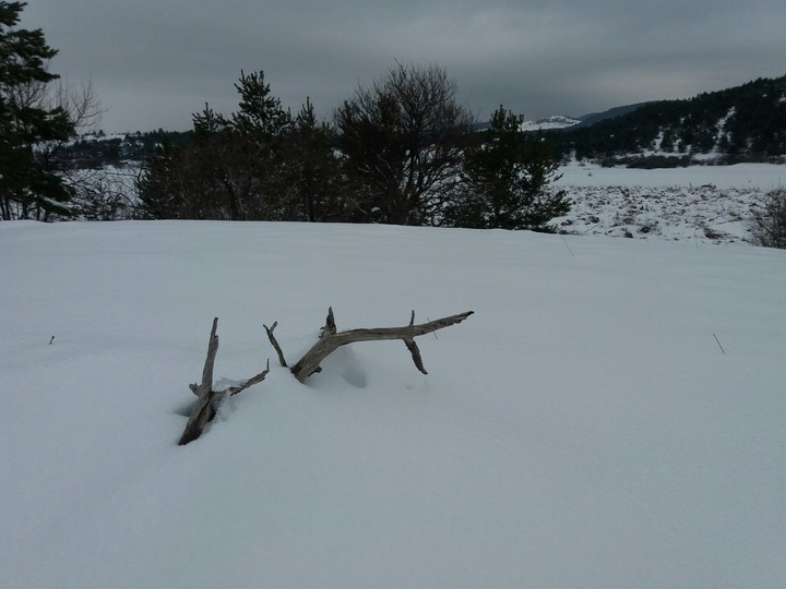 stick snow