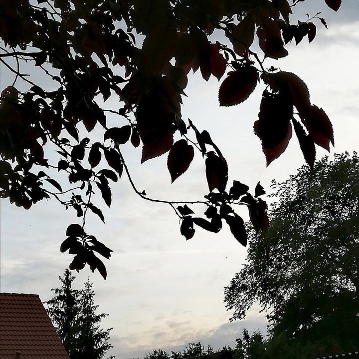 Wolken