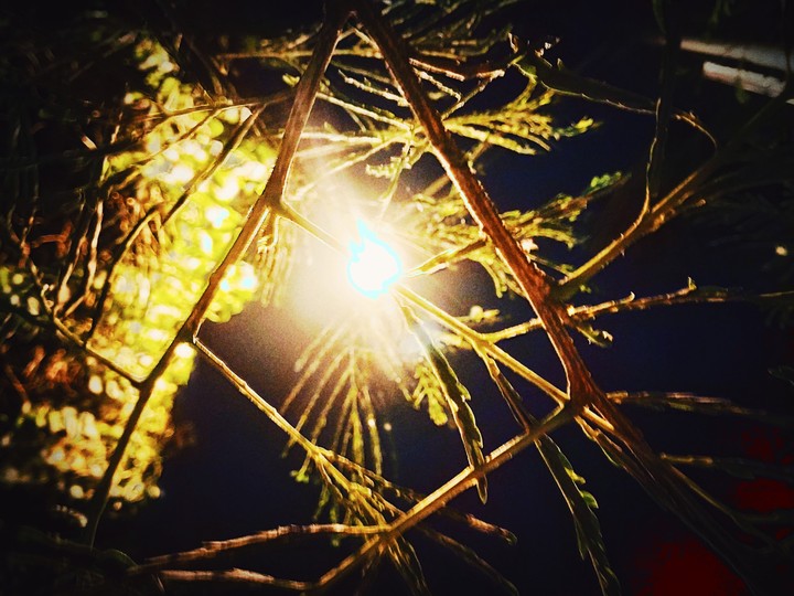 Night light
