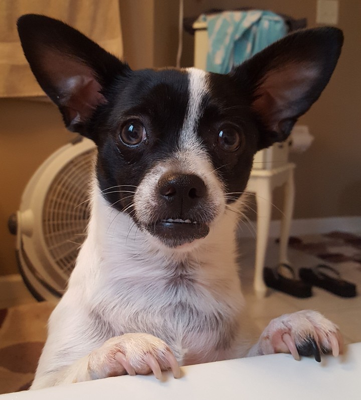 Whatcha Doin'?