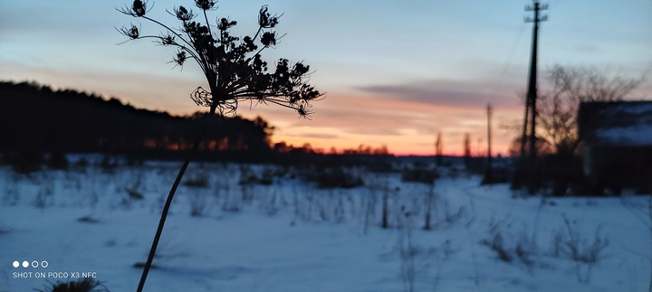 поле