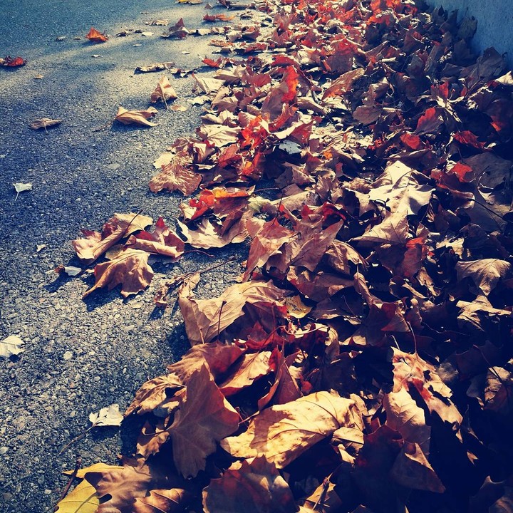herbsttag