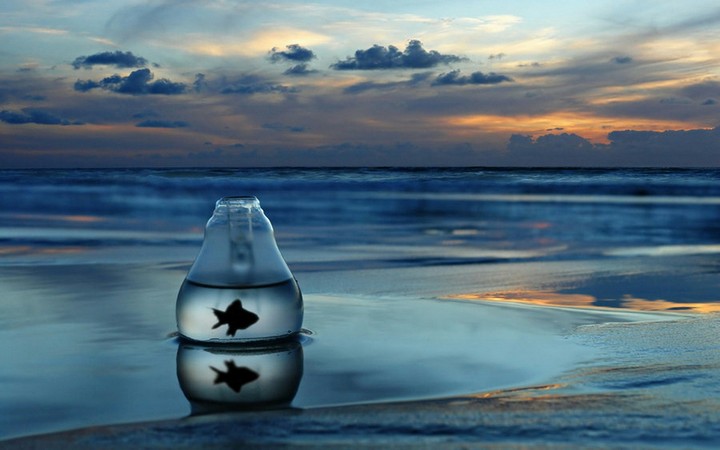 #feeling_lonely_in_the_world