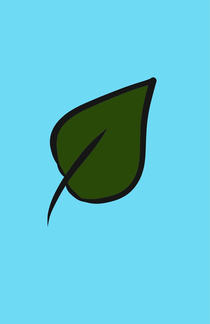 Leaf Doodle