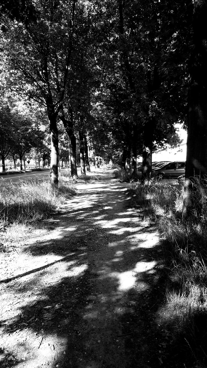Walkway