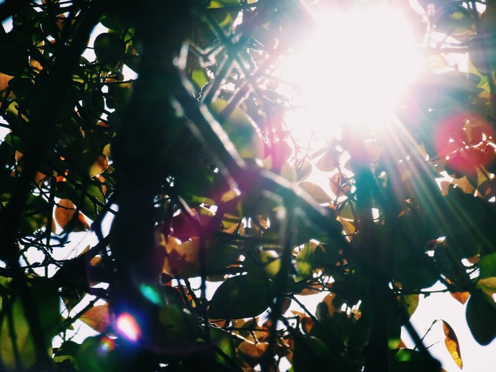 shine through