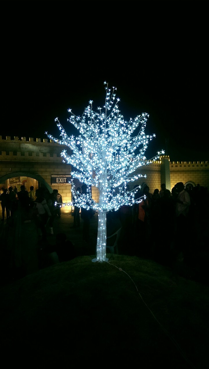 #Lighting tree