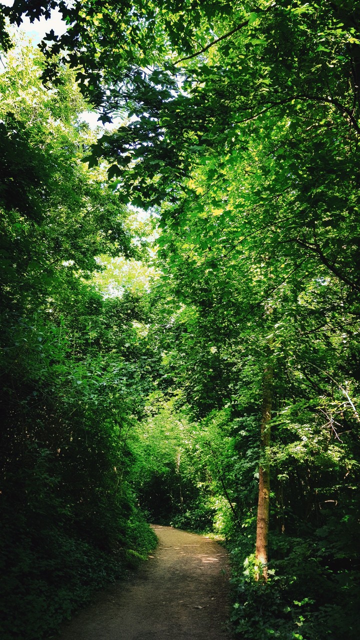 parc en ete