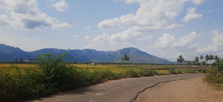 நேசமும் தேசமும்