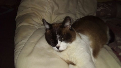 Fifille se repose