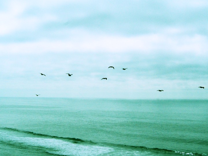 Freedom
