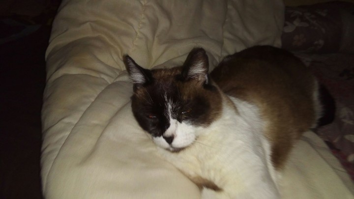 Fifille se repose