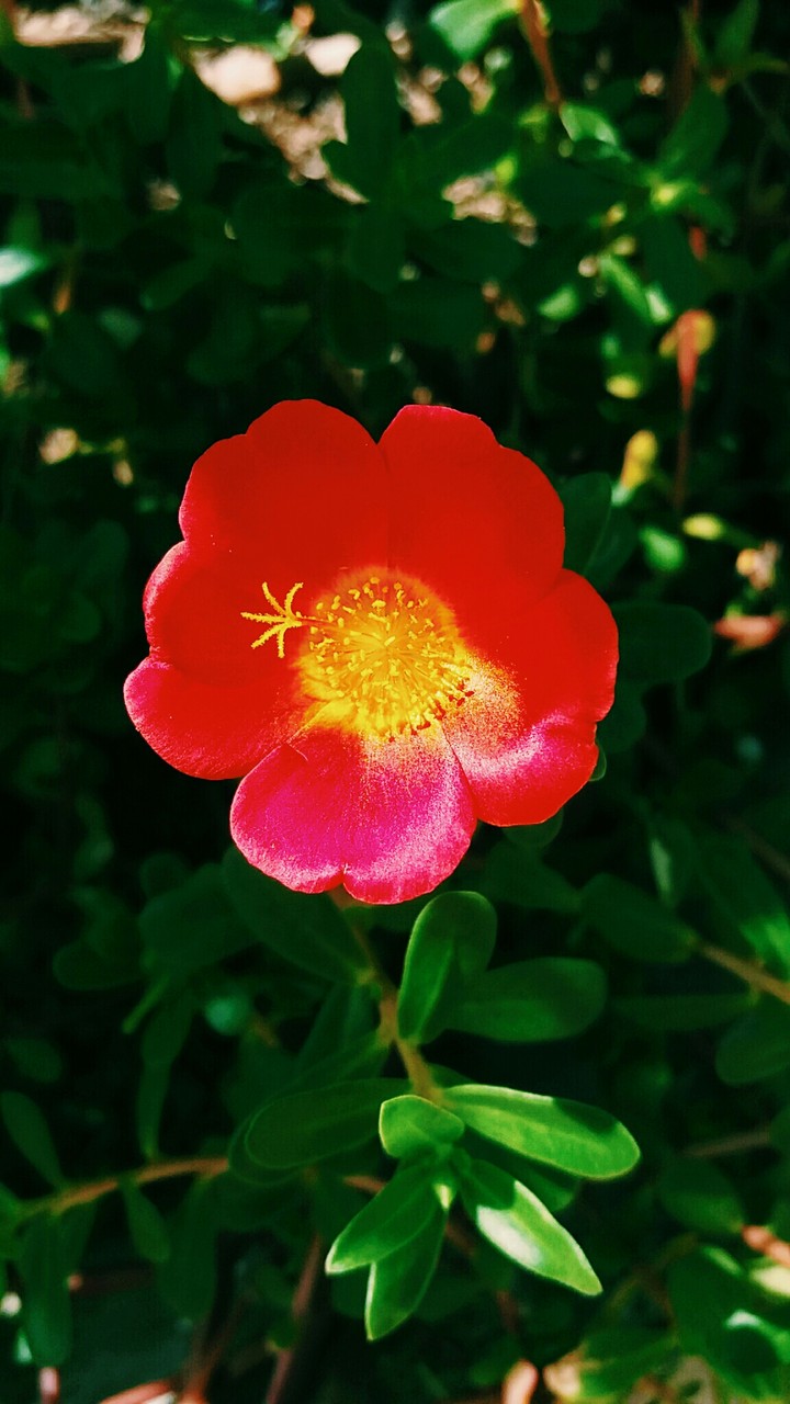 Another one :)