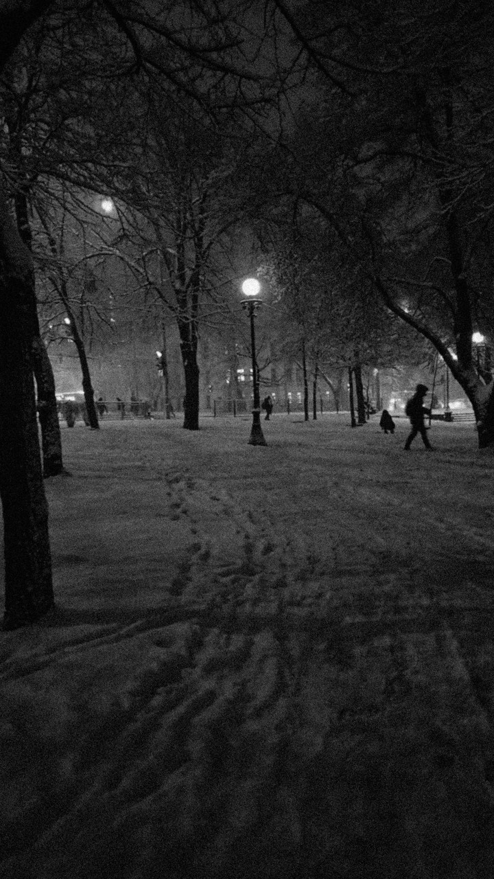 winter vibe