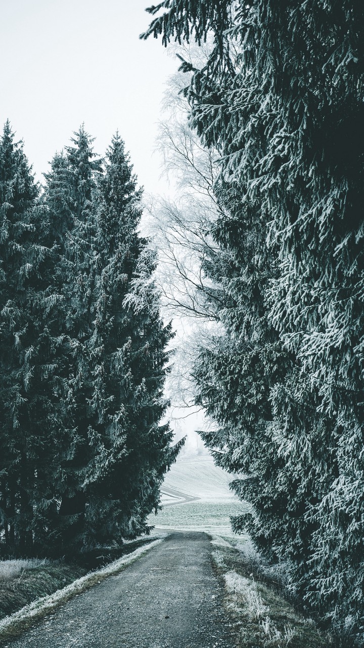 cold