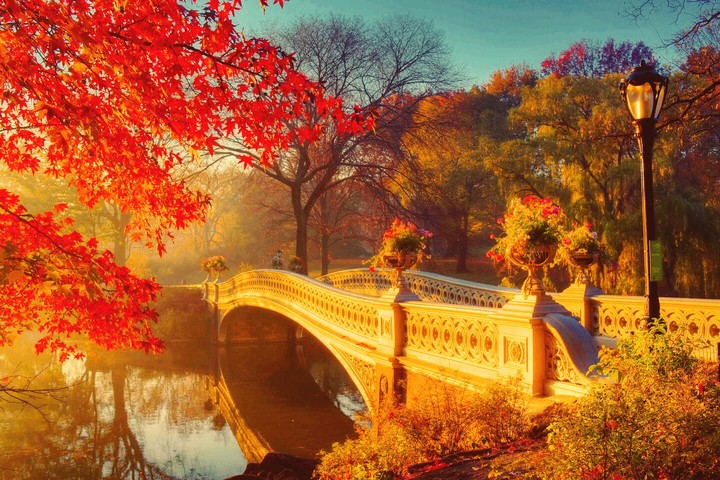 the bridge has no end
