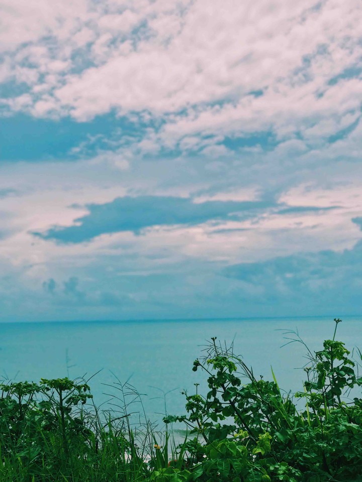 nature