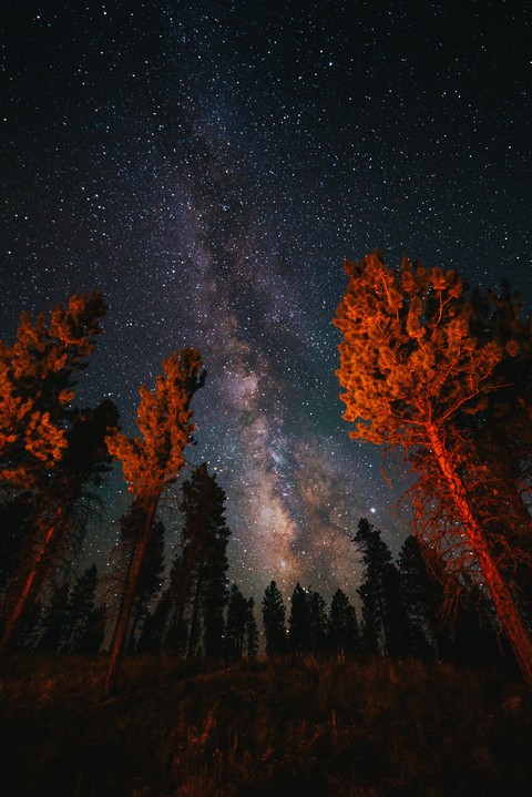 Midnight Sky
