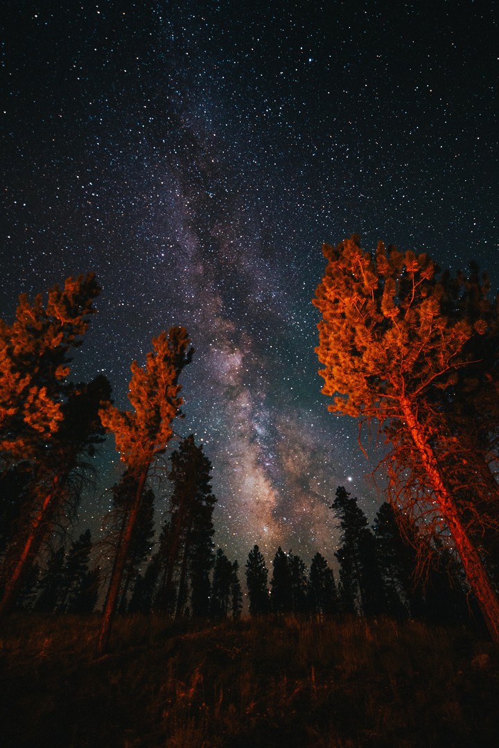 Midnight Sky