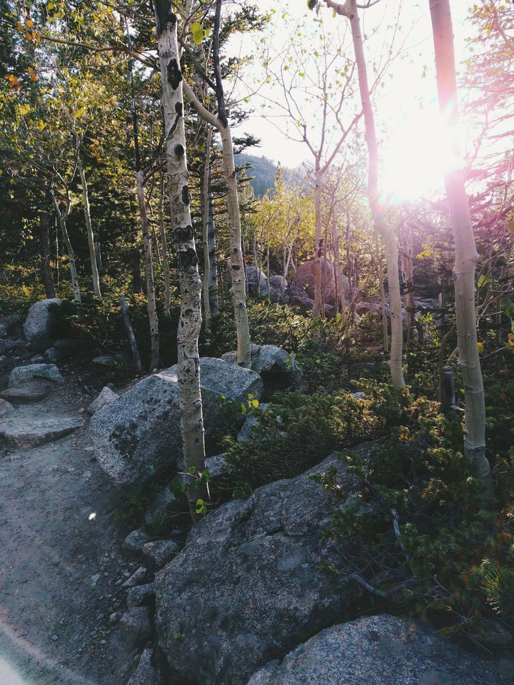 Rocky Mountain National Forest