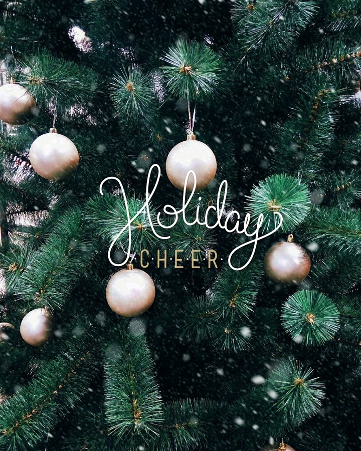Holiday cheer 