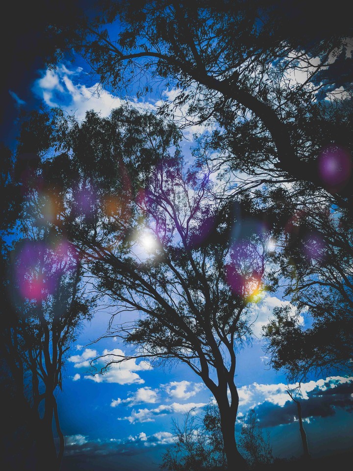 Magic