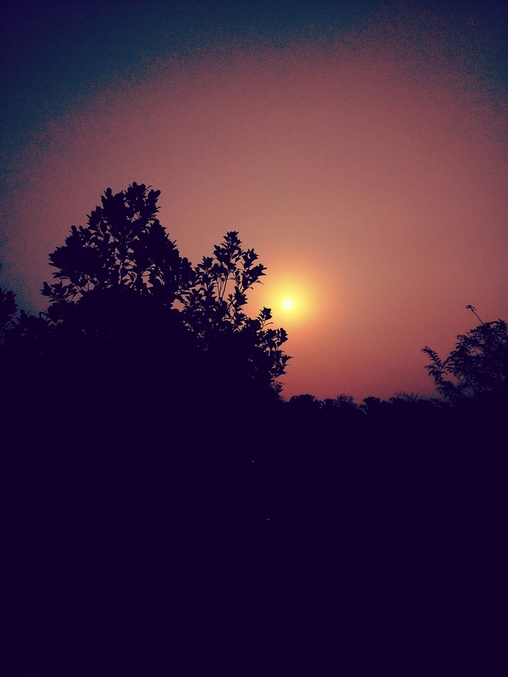 sunset