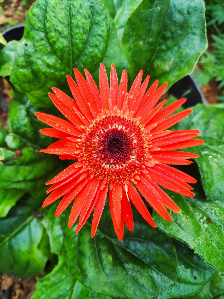 Nature's beauty