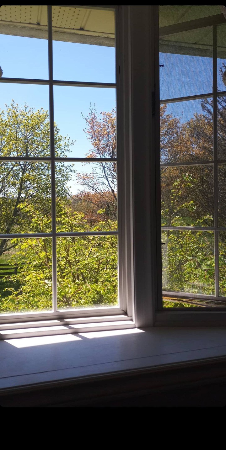 window view