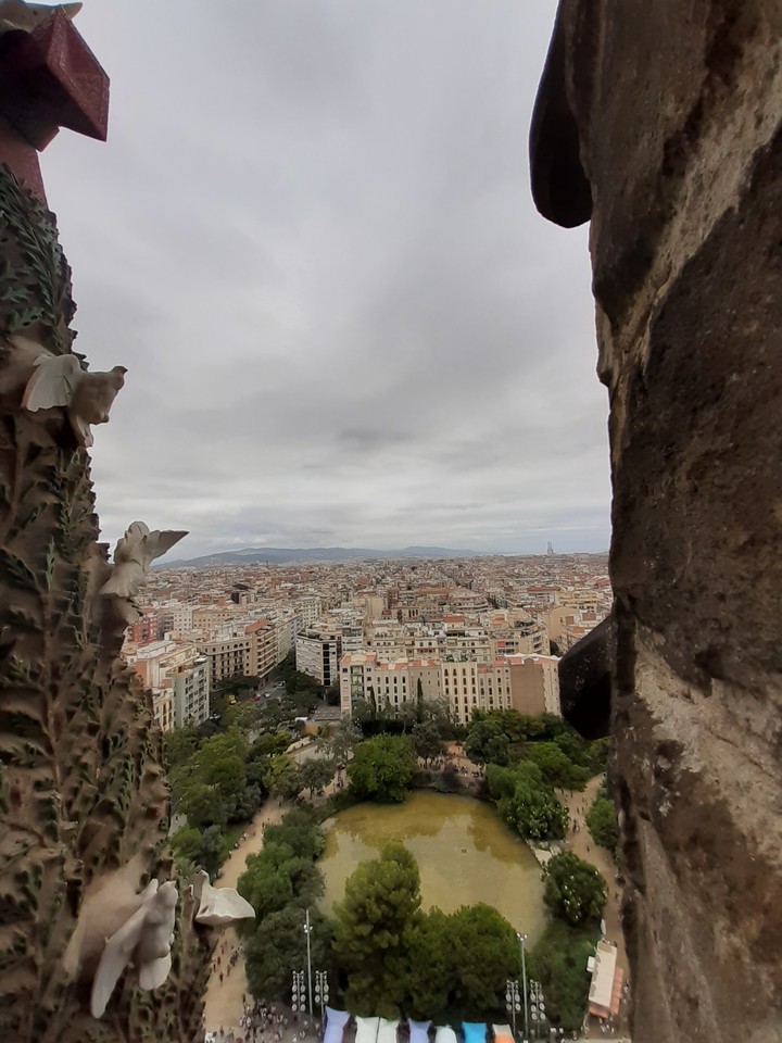 View from Tower of Sagrada Familia