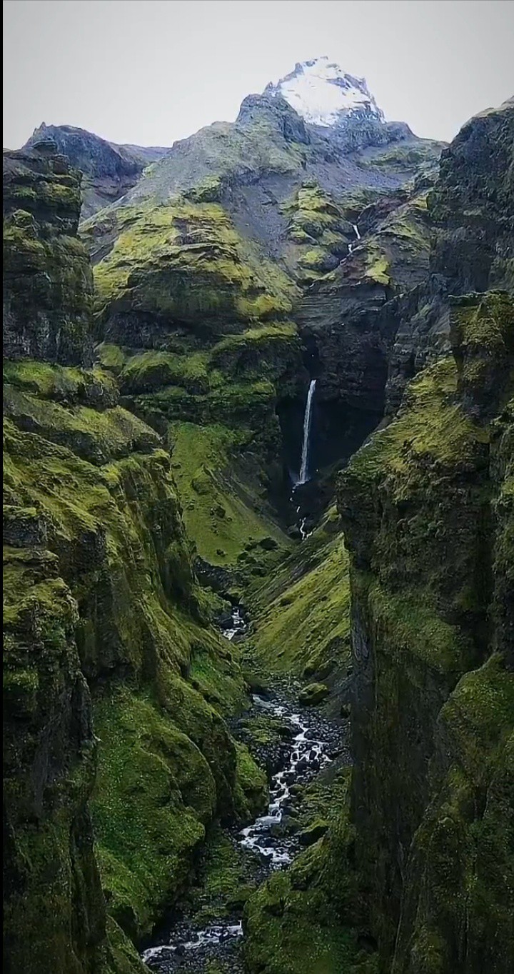 amazing nature