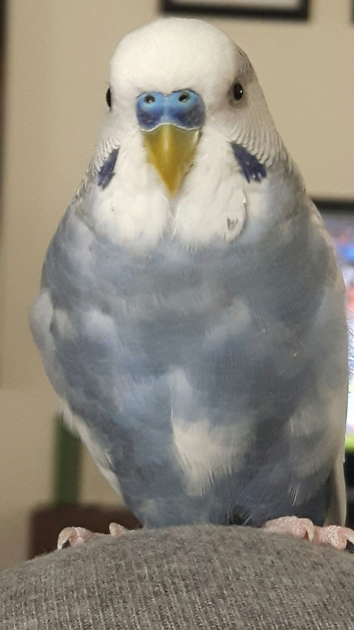 feeling sleepy