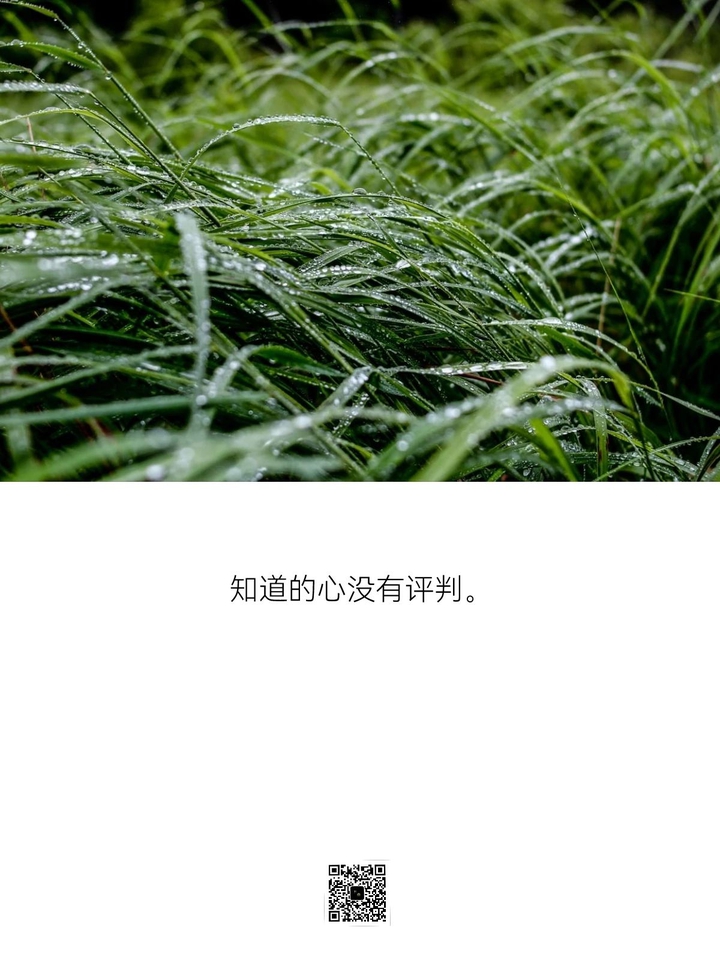 不行动