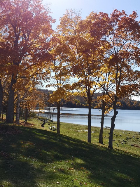 Fall day