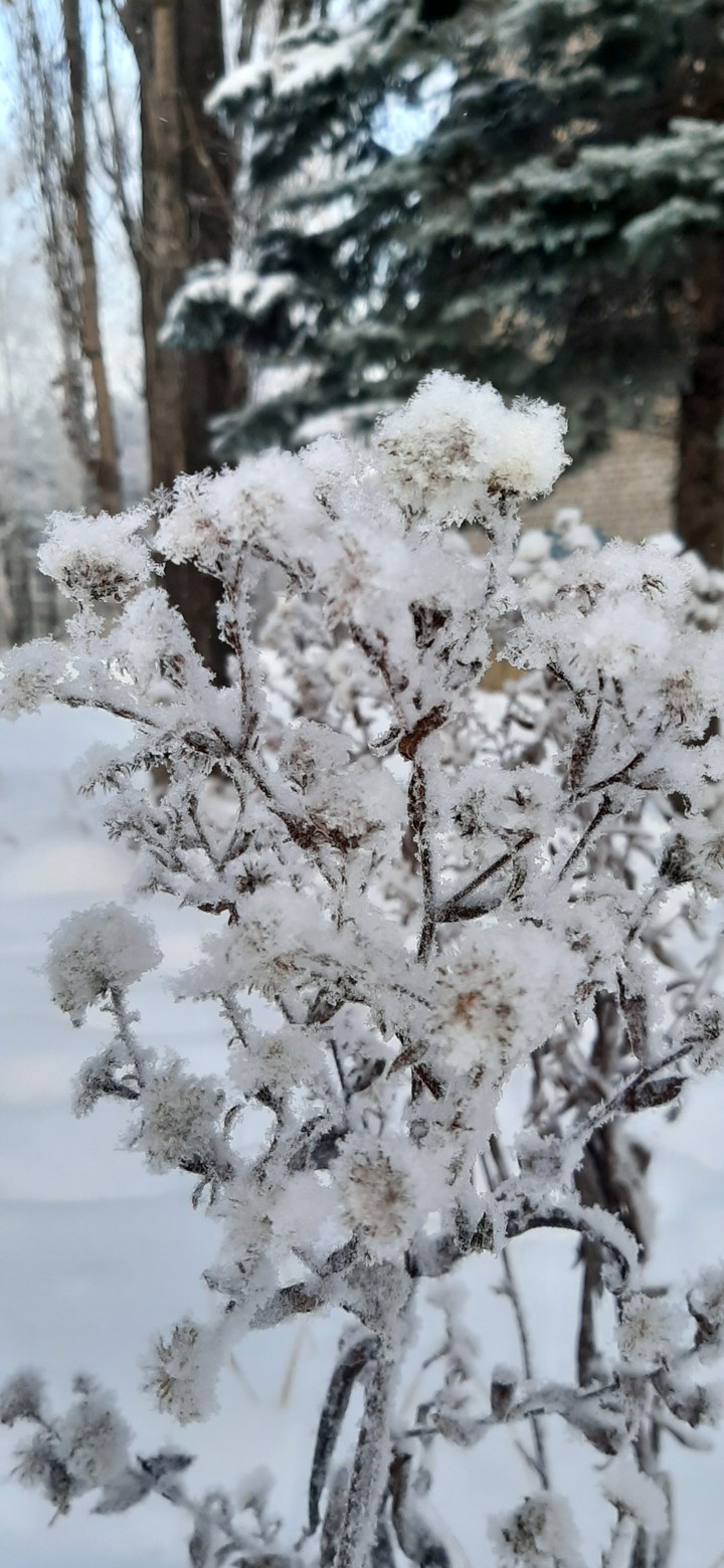 after snowfall