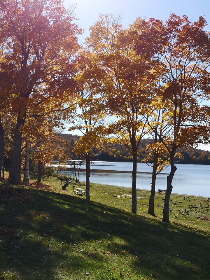 Fall day