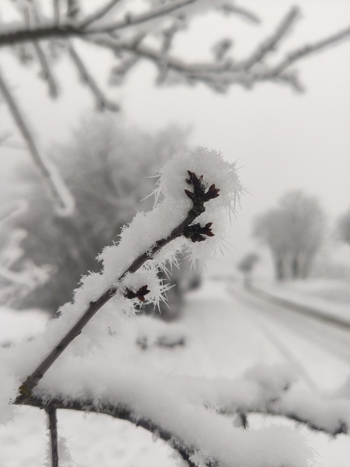 Snow time