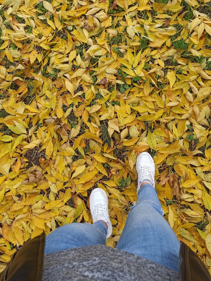 осень