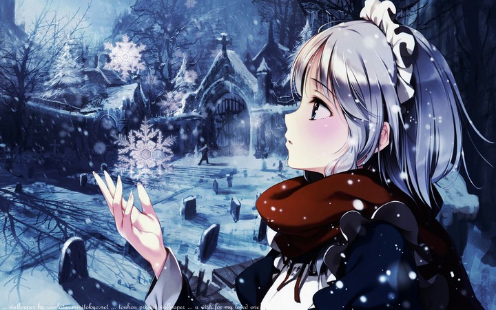 Beautiful snowflakes